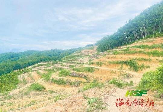 中国·太阳集团tcy8722(股份)有限公司-官方网站