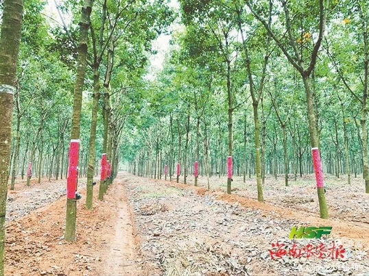 中国·太阳集团tcy8722(股份)有限公司-官方网站