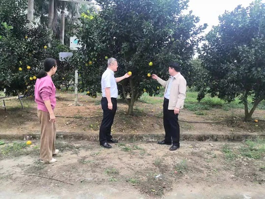 中国·太阳集团tcy8722(股份)有限公司-官方网站