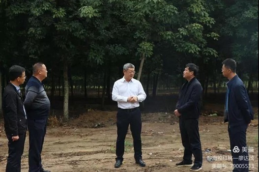 中国·太阳集团tcy8722(股份)有限公司-官方网站