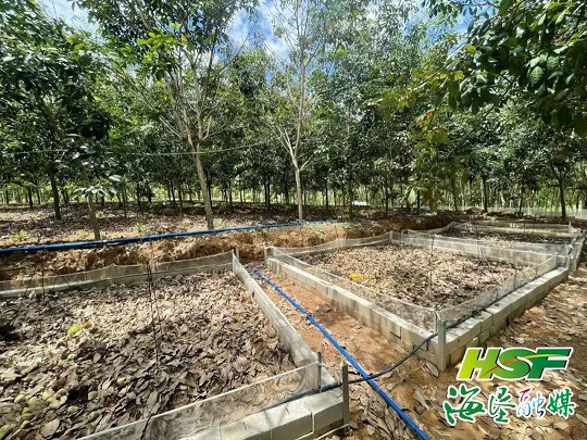 中国·太阳集团tcy8722(股份)有限公司-官方网站