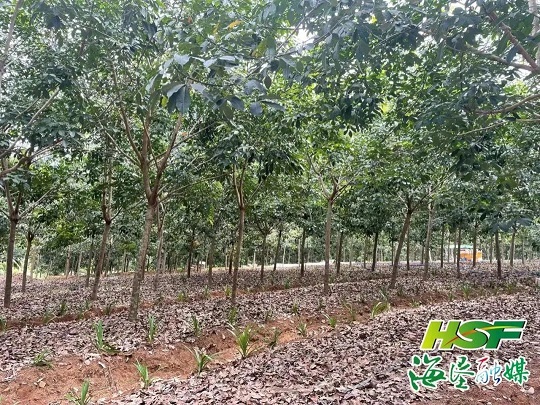 中国·太阳集团tcy8722(股份)有限公司-官方网站