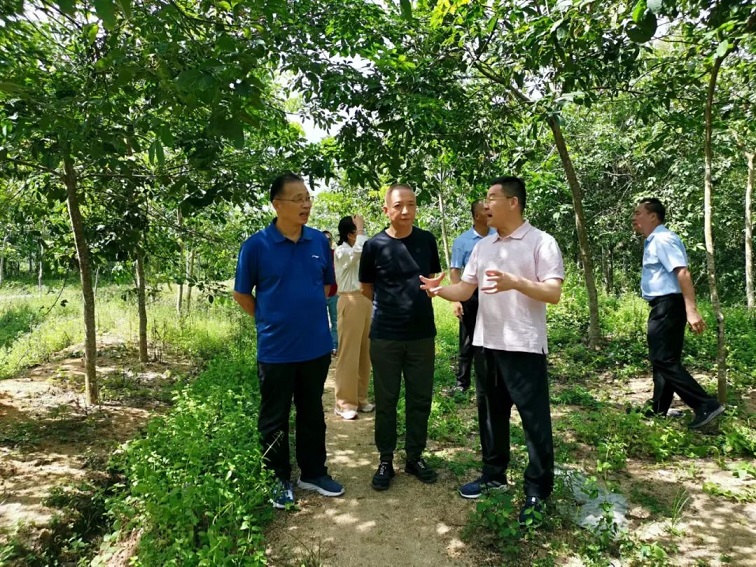 中国·太阳集团tcy8722(股份)有限公司-官方网站