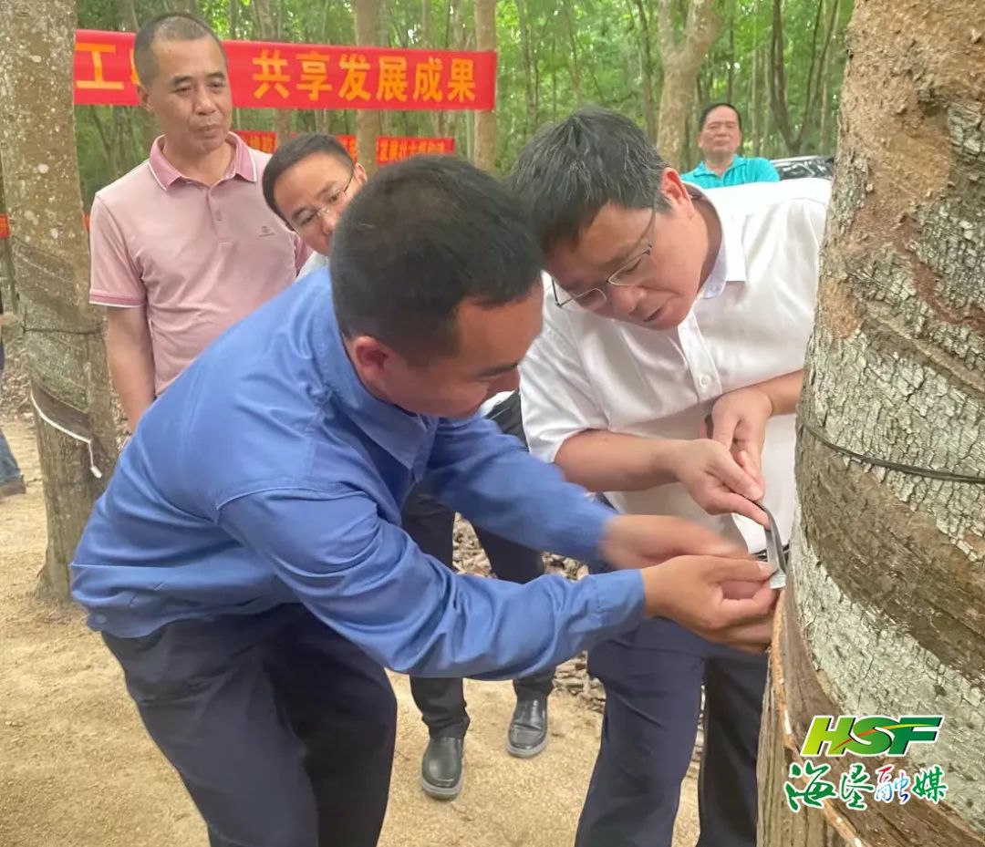 中国·太阳集团tcy8722(股份)有限公司-官方网站