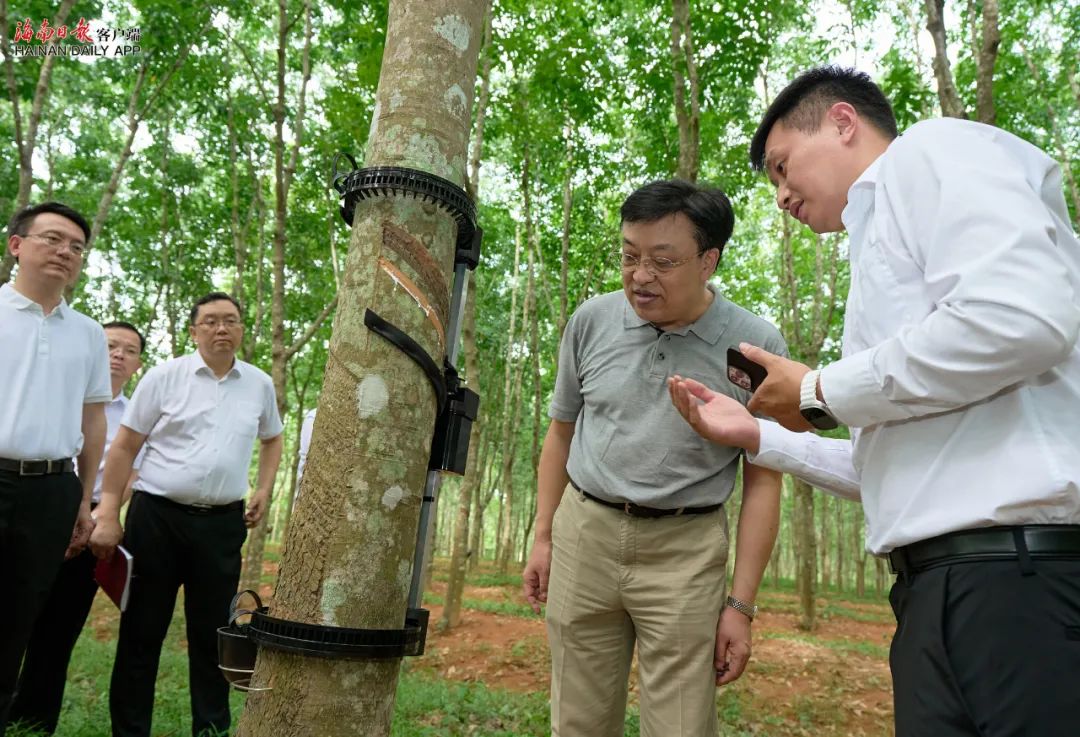 中国·太阳集团tcy8722(股份)有限公司-官方网站