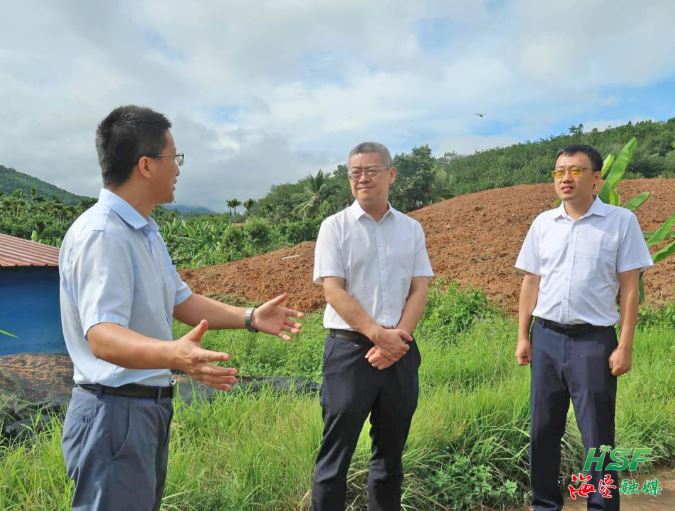 艾轶伦在立才农场公司垦区耕地“非粮化”“非农化”专项整改复耕地块调研。。。